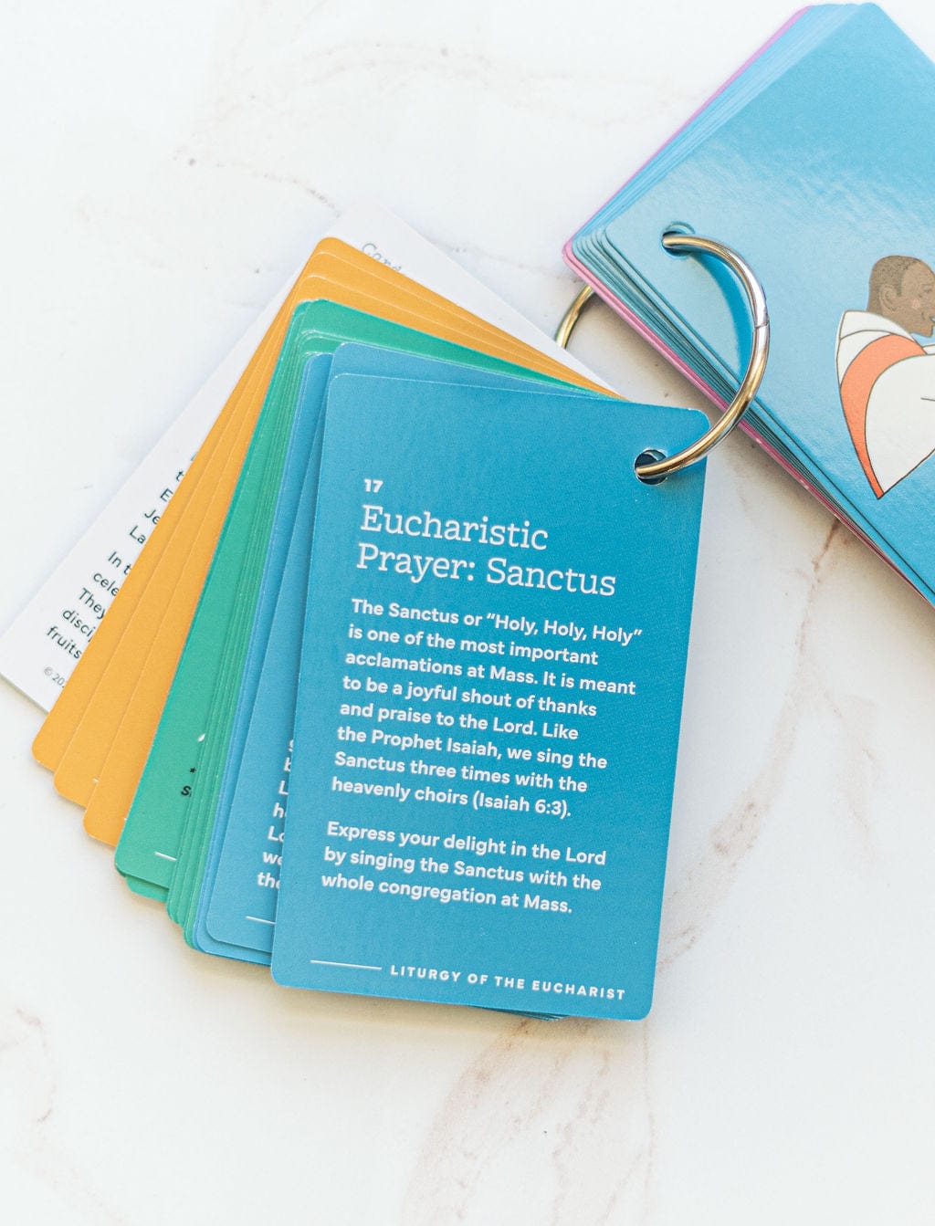 Parts of the Mass Ring